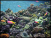 Moody Gardens 2001