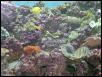 Moody Gardens 2001