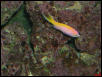 Moody Gardens 2001