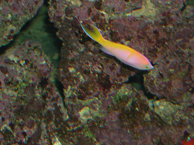 Moody Gardens 2001