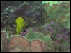 Moody Gardens 2001