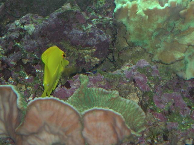 Moody Gardens 2001