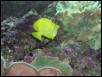 Moody Gardens 2001