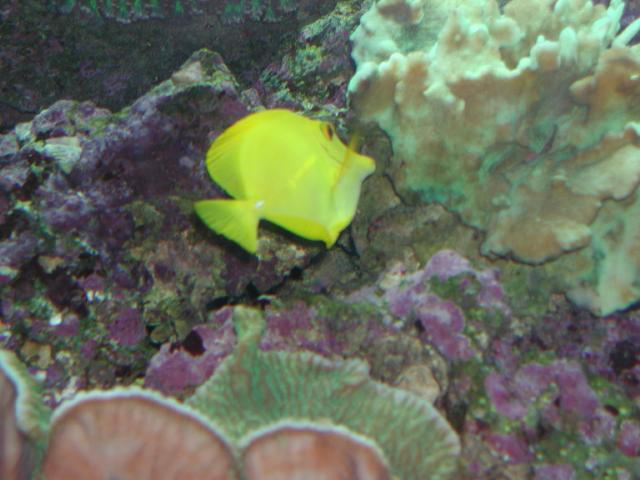 Moody Gardens 2001