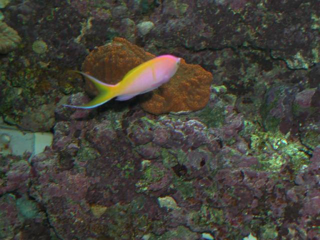 Moody Gardens 2001