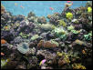 Moody Gardens 2001