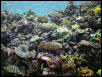 Moody Gardens 2001