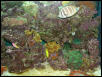 Moody Gardens 2001