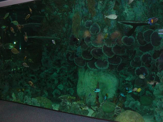 Moody Gardens 2001
