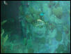 Moody Gardens 2001