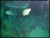 Moody Gardens 2001
