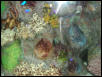 Moody Gardens 2001