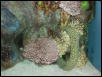 Moody Gardens 2001