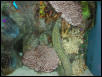 Moody Gardens 2001