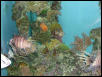Moody Gardens 2001