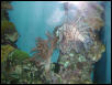 Moody Gardens 2001