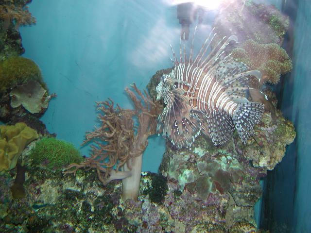 Moody Gardens 2001