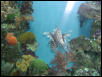 Moody Gardens 2001
