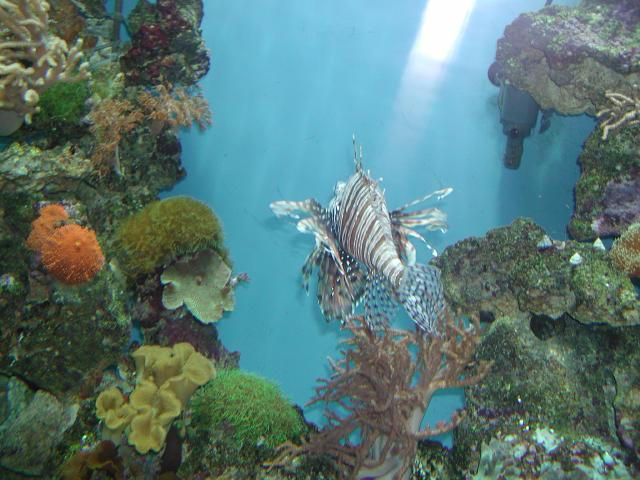 Moody Gardens 2001
