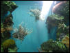 Moody Gardens 2001
