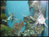 Moody Gardens 2001