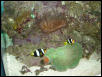 Moody Gardens 2001