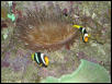 Moody Gardens 2001
