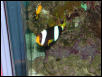 Moody Gardens 2001