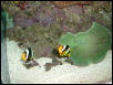 Moody Gardens 2001