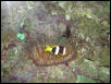 Moody Gardens 2001