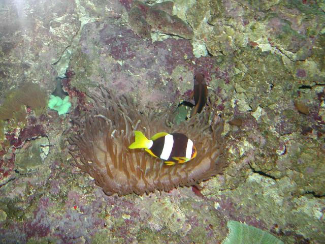Moody Gardens 2001