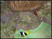 Moody Gardens 2001