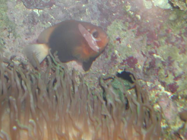 Moody Gardens 2001