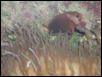 Moody Gardens 2001