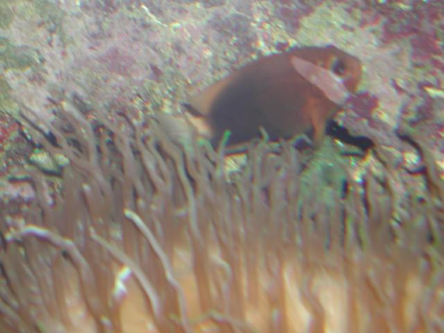 Moody Gardens 2001