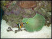 Moody Gardens 2001