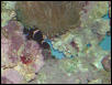 Moody Gardens 2001