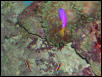 Moody Gardens 2001