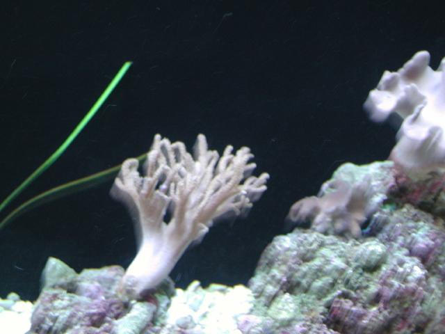 Moody Gardens 2001