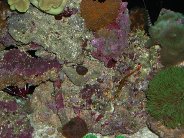 Moody Gardens 2001