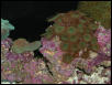 Moody Gardens 2001