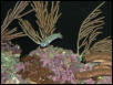 Moody Gardens 2001
