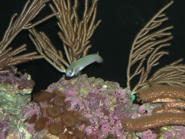 Moody Gardens 2001