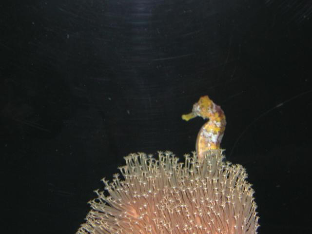 Moody Gardens 2001
