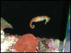 Moody Gardens 2001