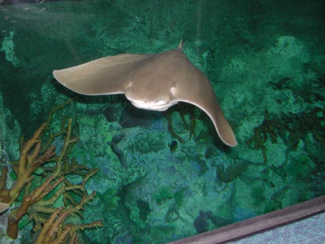 Moody Gardens 2001