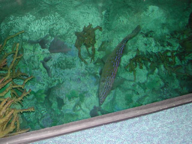 Moody Gardens 2001