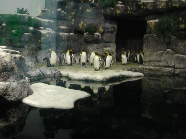 Moody Gardens 2001