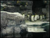 Moody Gardens 2001