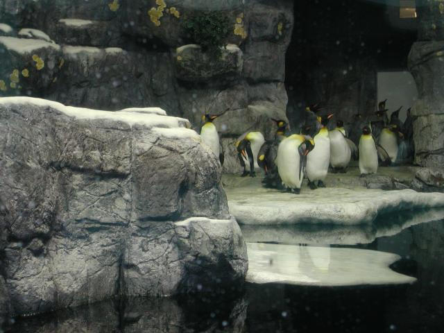 Moody Gardens 2001